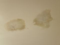 -烟台金沙滩喜来登度假酒店
