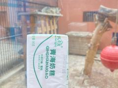 -青藏高原野生动物园