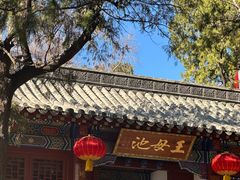 -泰山风景名胜区-虎山公园