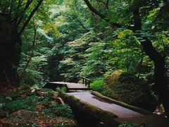 -五女峰国家森林公园