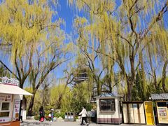 -鹊华居·地道鲁菜·海鲜·融合味(大明湖店)