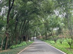 -青龙山国家森林公园