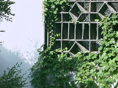 -何园
