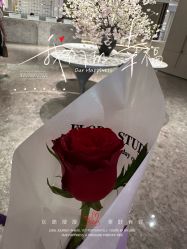 -广州美莱医疗美容医院