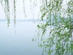 -金银湖国家城市湿地公园