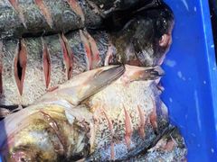 -密云水库福海酒家