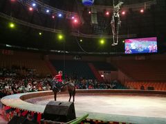 -俄罗斯国家大马戏团