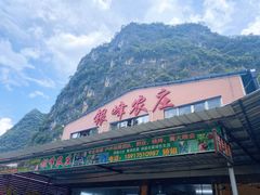 -银峰农庄·特色烧鸡·鲜无花果浸鸡