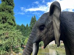 -武陵山森林公园