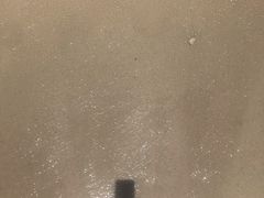 -珊瑚岛