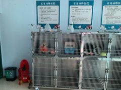 -乐宠动物医院