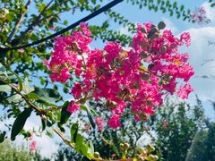 -武汉紫薇都市田园