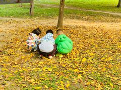 -北京梧桐树双语幼儿园