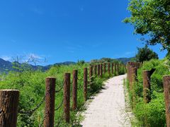 -白水寺森林公园