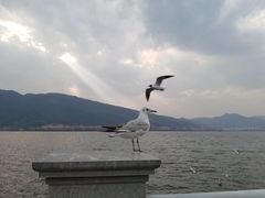 -滇池海埂公园