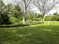 -九里河湿地公园