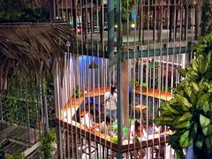 -Rainforest