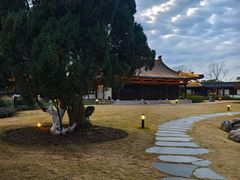 -江心屿景区