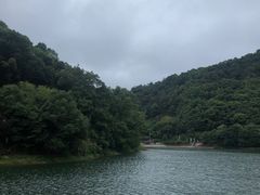 -桃花岭景区