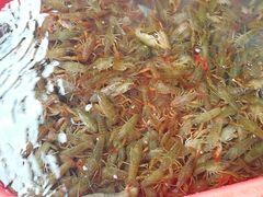 -玖味谣王记龙虾馆·烧烤(柯桥店)