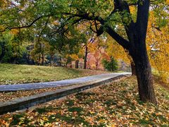 -国家植物园南园