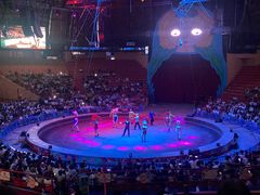 -俄罗斯国家大马戏团