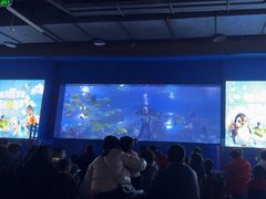 -重庆欢乐海底世界