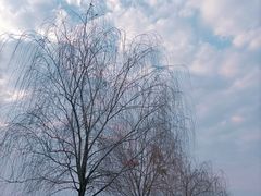 -那考河湿地公园