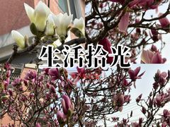 -门城湖公园