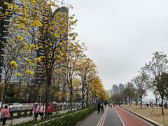 -洲头咀公园