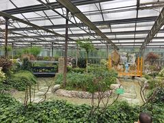 -南宫五洲植物乐园