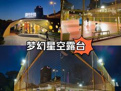 -新虹桥中心花园