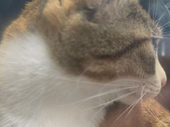 -联合动物医院(光谷诊疗中心)