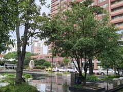 -叶家花园