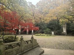 -灵谷景区