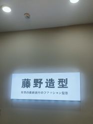 点击看大图 -藤野造型