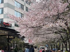 -玛格萝妮比萨屋(四平店)