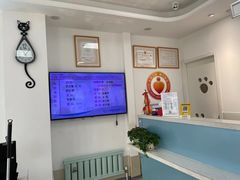 -北京观赏动物医院·24小时大型综合·猫专科·异宠专科