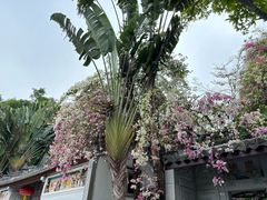 -深圳国际园林花卉博览园