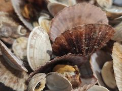 -海味当家·蒸锅海鲜(星海公园店)