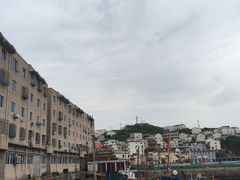 -枸杞岛