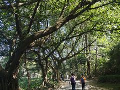 -南沙蒲洲花园