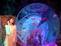 -沈阳海洋探索中心