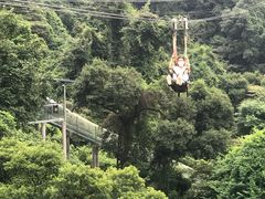 -南丹山森林王国