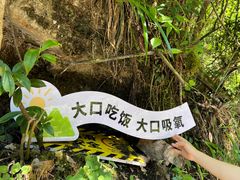 -贵阳猴耳天坑·极限酷玩公园
