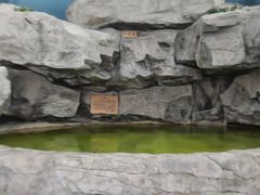 -爱江山温泉(凌奥店)