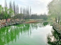 -大兴滨河森林公园