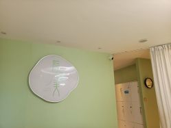 -荷绿美美容生活坊