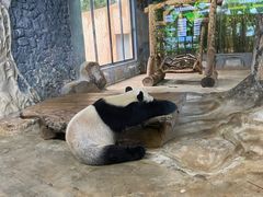 -海南热带野生动植物园