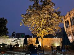 -大可堂普洱茶馆(襄阳南路馆)